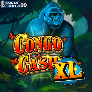 congo cash xl